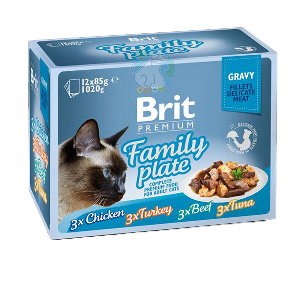 مولتی پک پوچ فیله داخل سس 12عددی Brit family plate